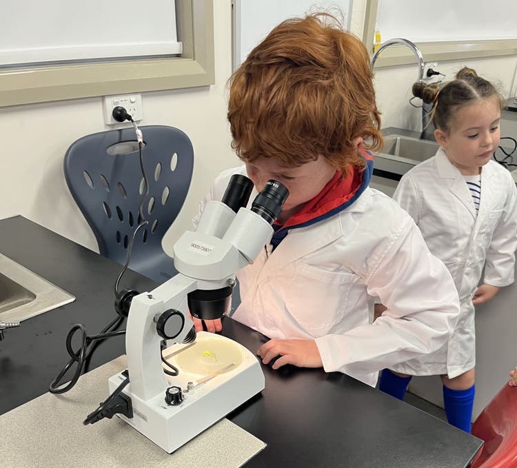 Infant's student looking down a microscope